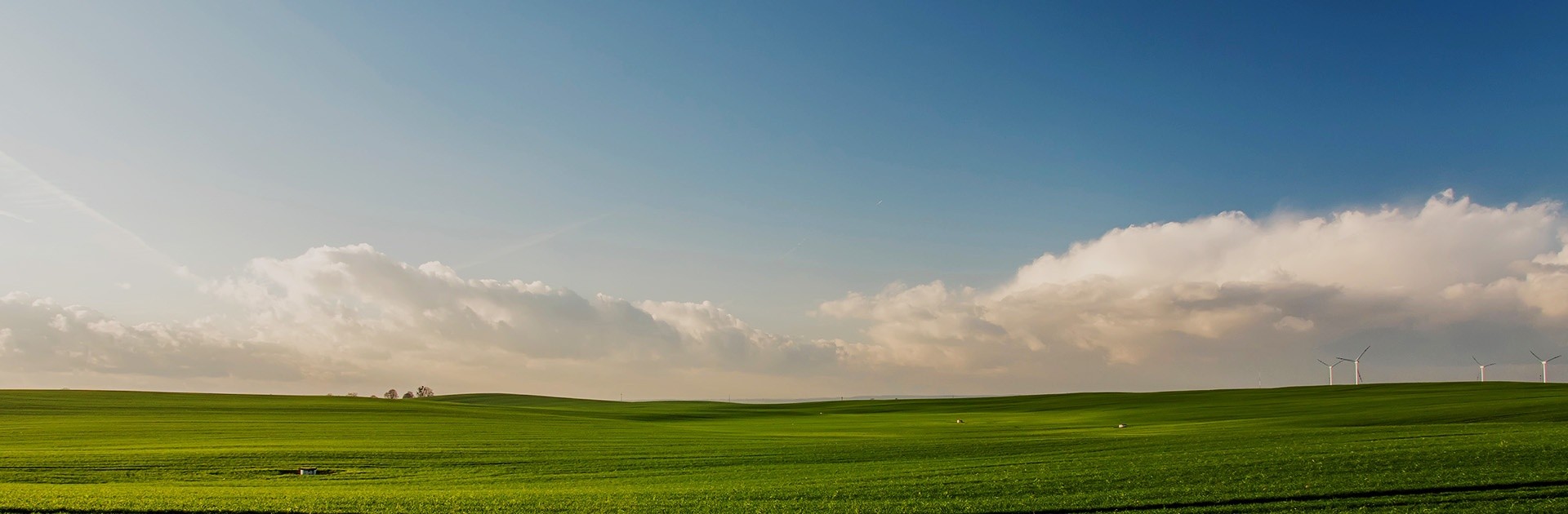 今年会·jnh(中国区)官方网站入口