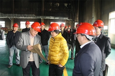 2012年1月31日，时任黄冈市委书记鲁俊携带市发改委等市级部门掌管人到公司调研