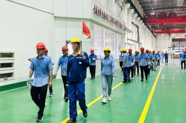 一目十行 全员改善 | 今年会jnh纸业第七届精益TPM改善之旅圆满实现